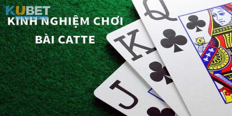 Hướng dẫn chơi Bài Catte Online và cách tính tiền cơ bản